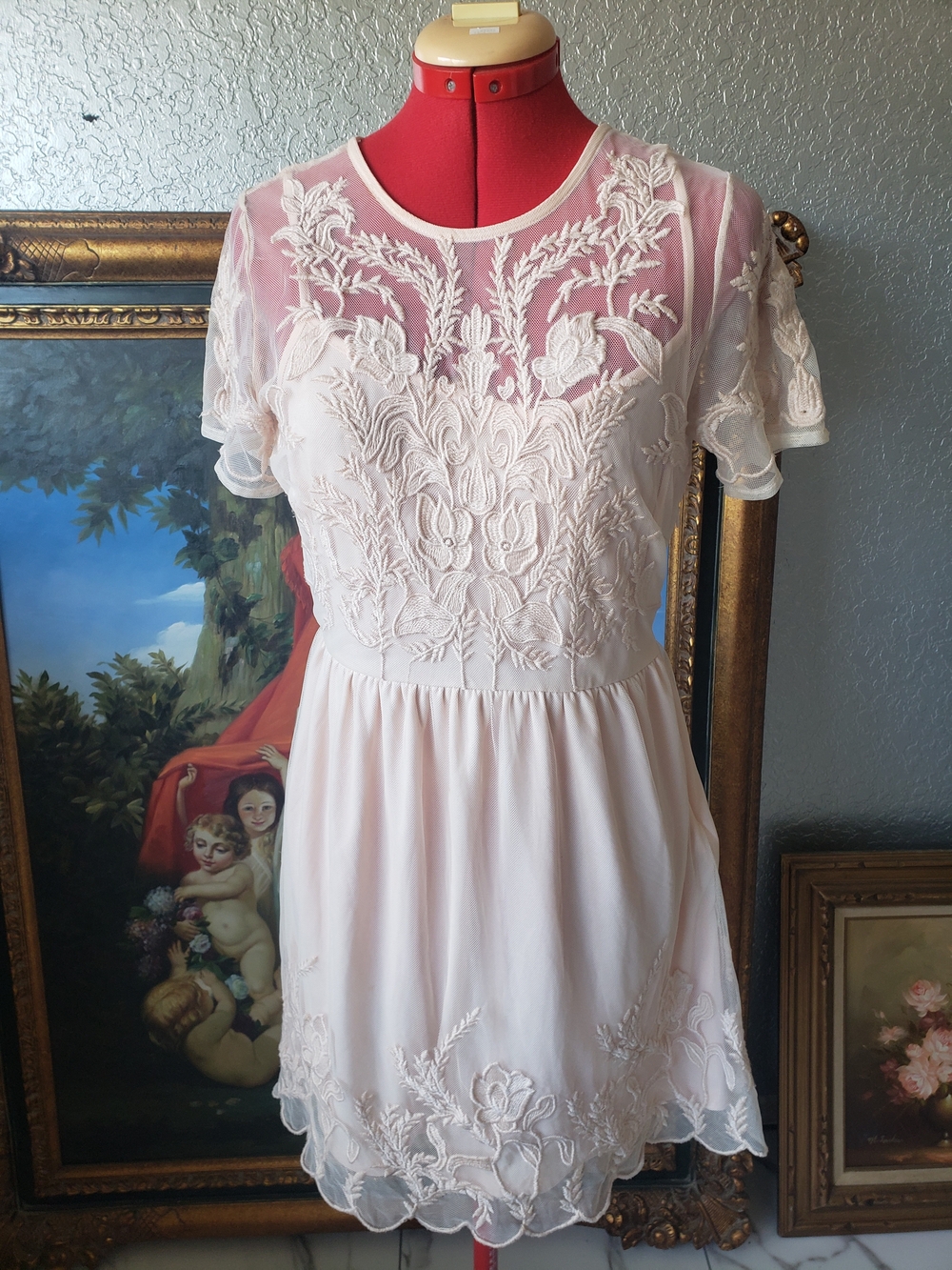 Forever 21 Pale Pink Embroidered Mesh Mini Dress